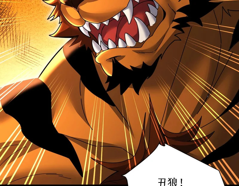 第429页