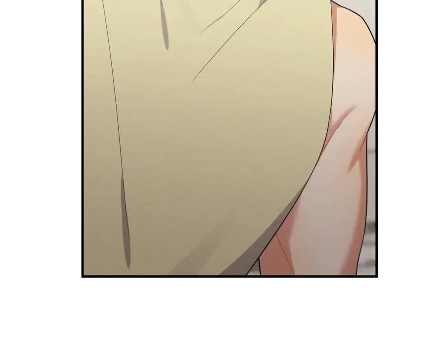 第531页