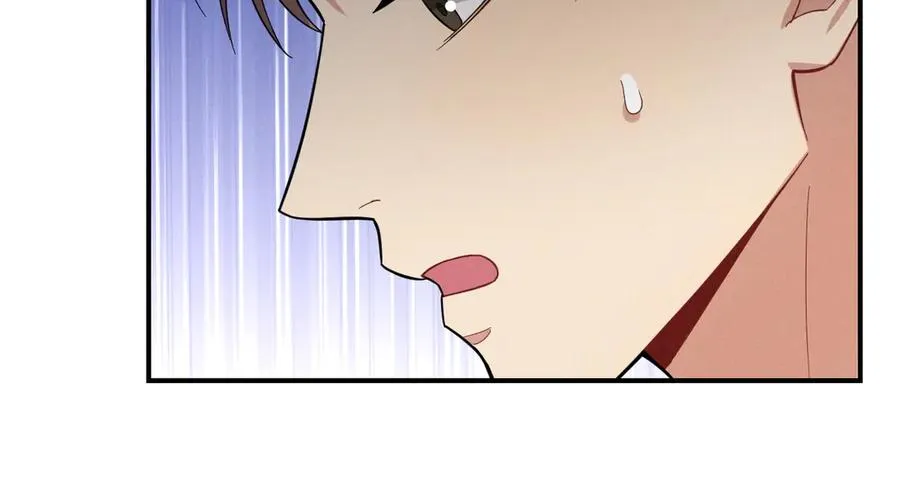 第246页
