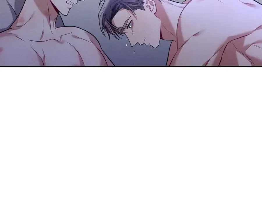 第333页