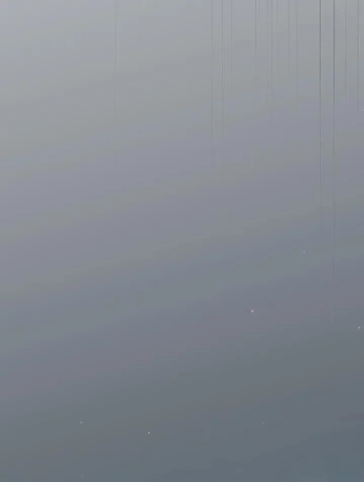 第225页