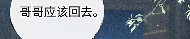 第384页