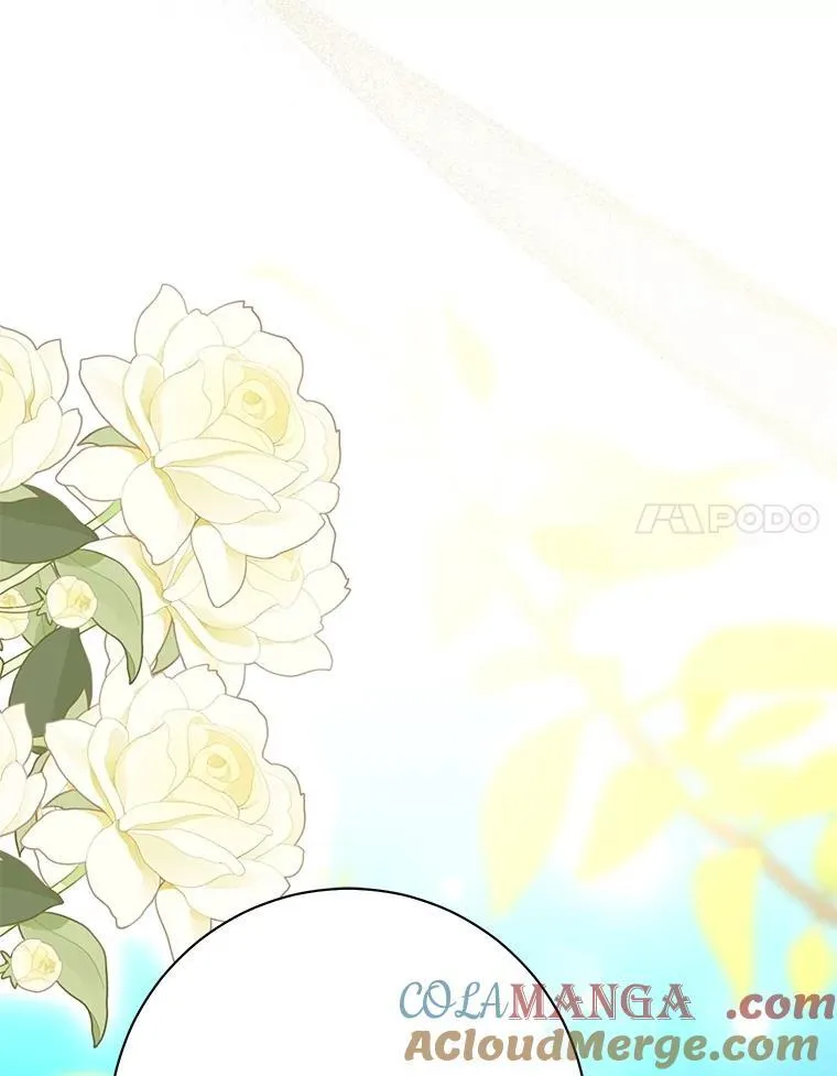 第300页