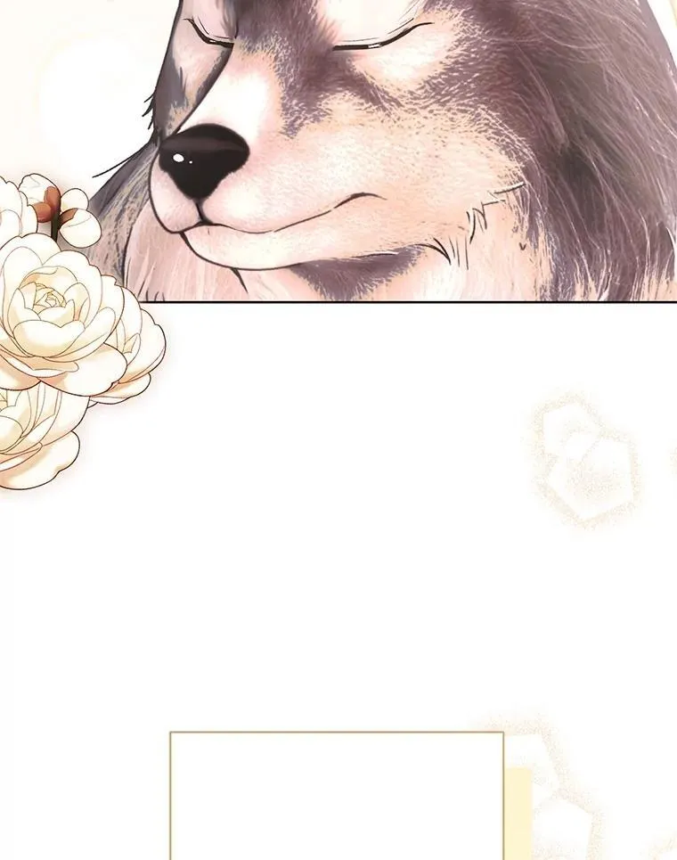 第303页