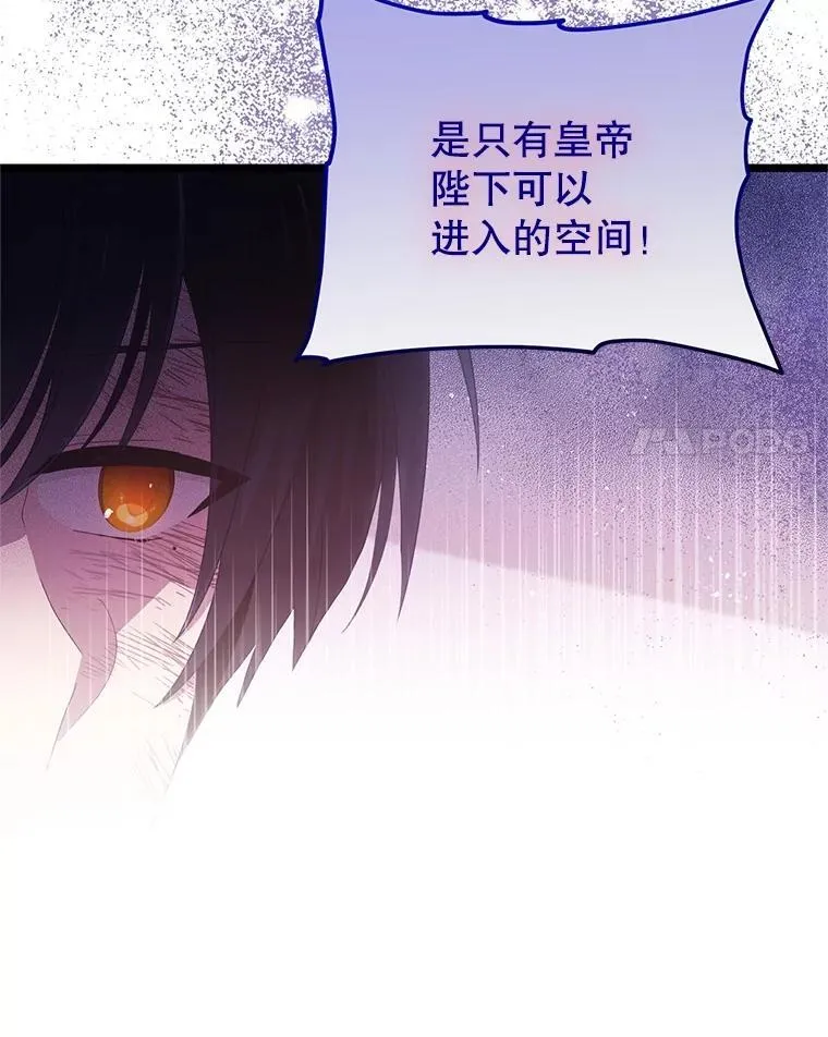 第300页