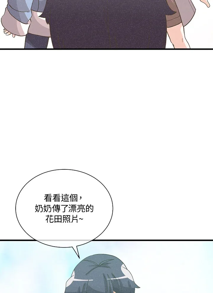 第258页