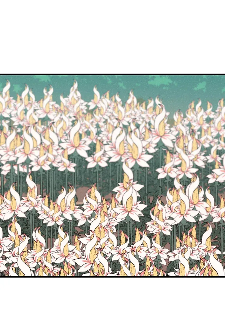 第264页