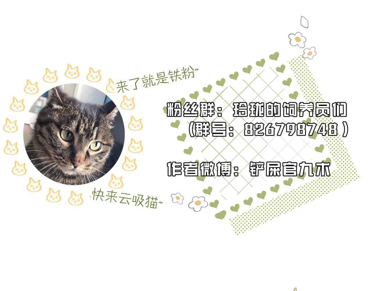 第333页