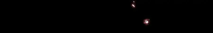 第213页