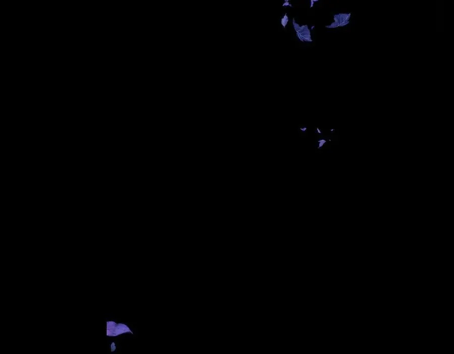 第228页