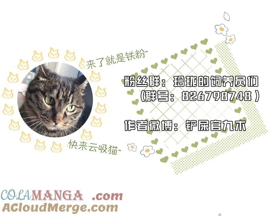 第234页