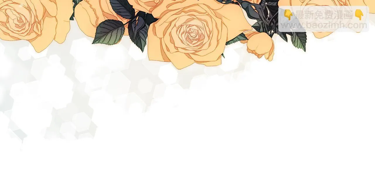 第447页