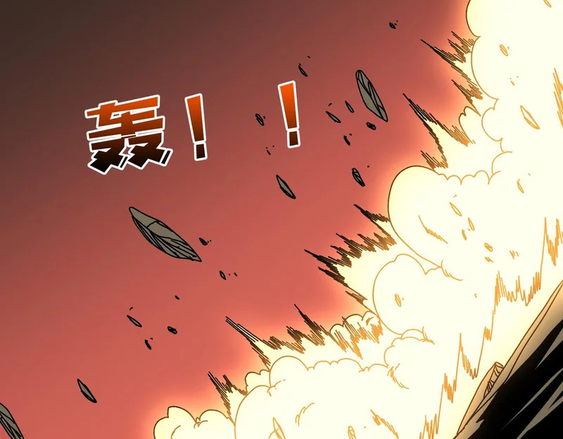 第231页