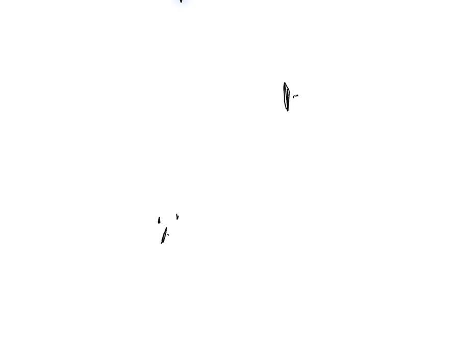 第543页