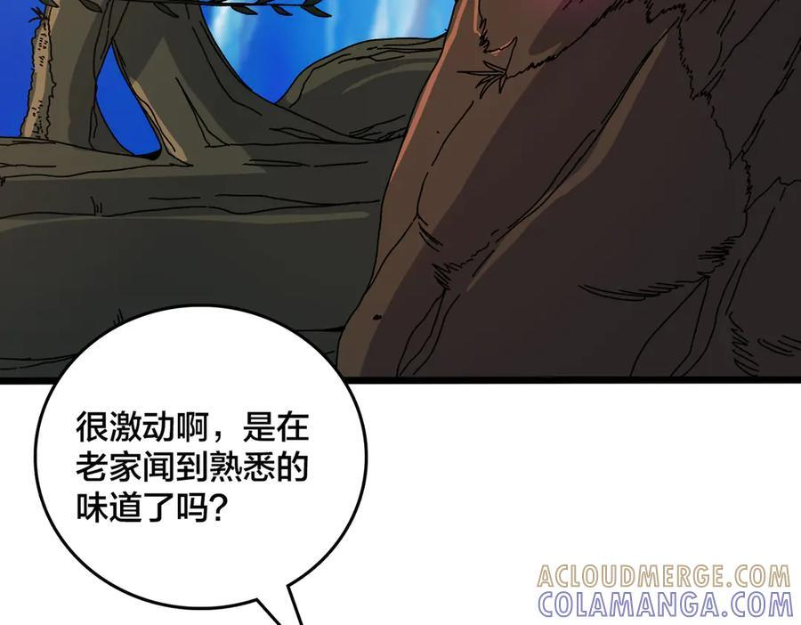 第228页