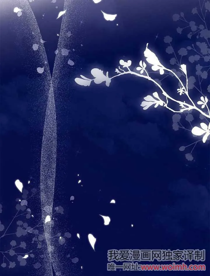 第261页
