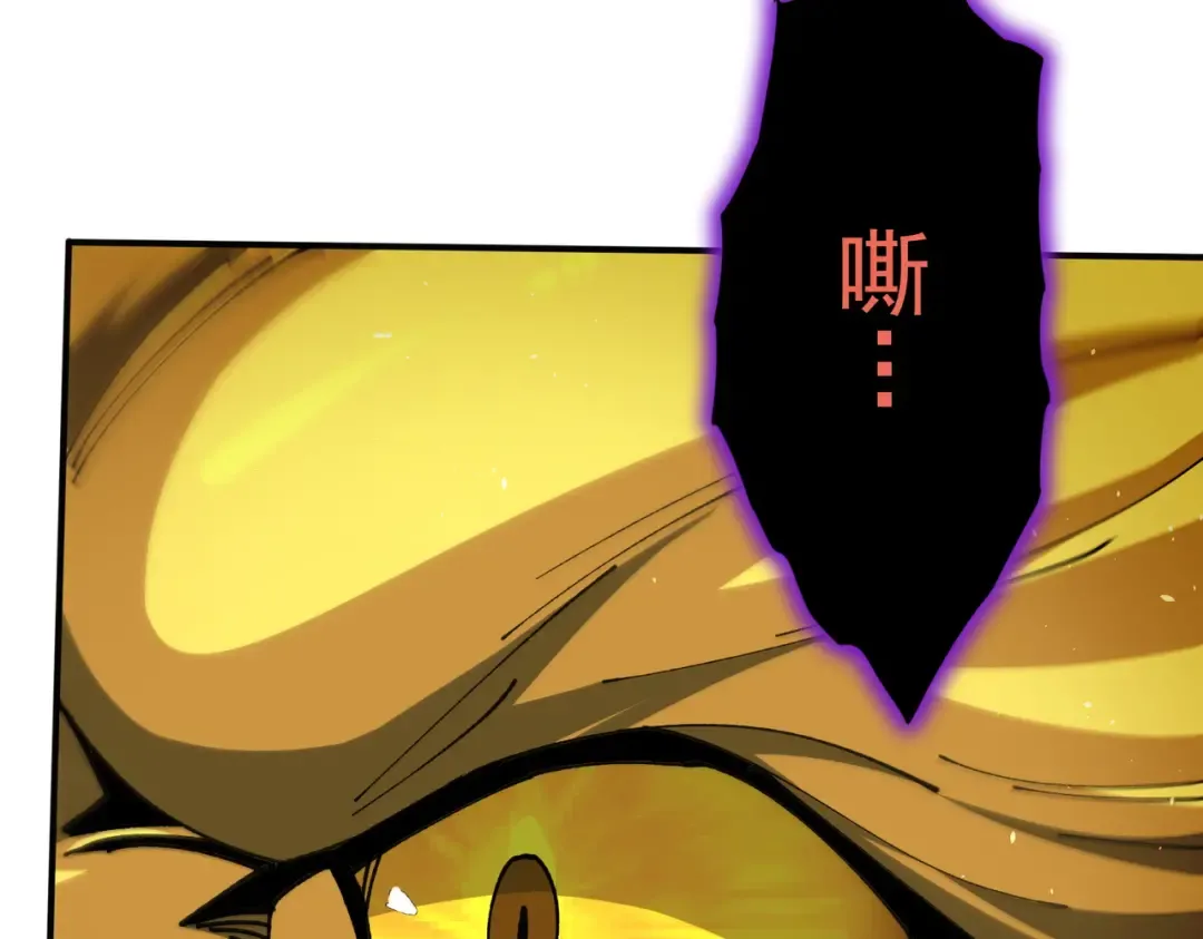第447页