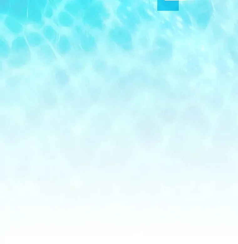 第279页