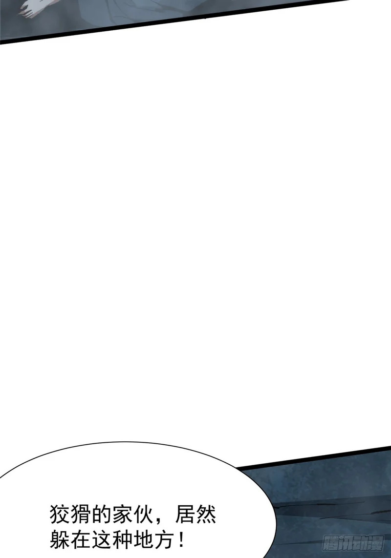 第231页