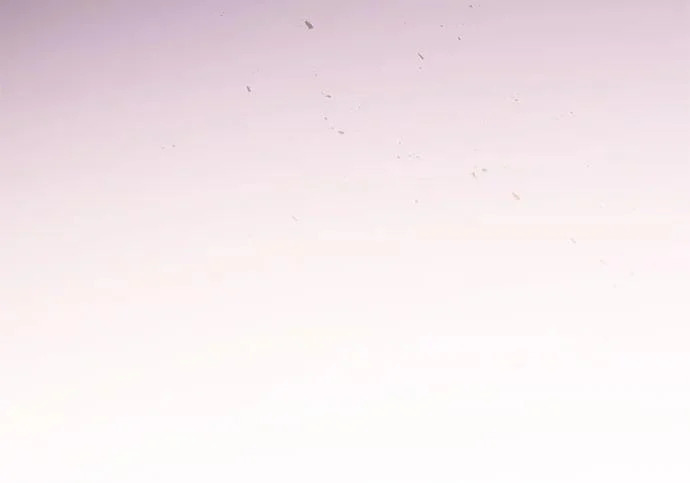 第795页