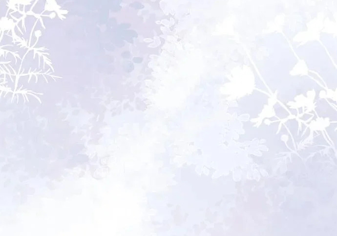 第342页