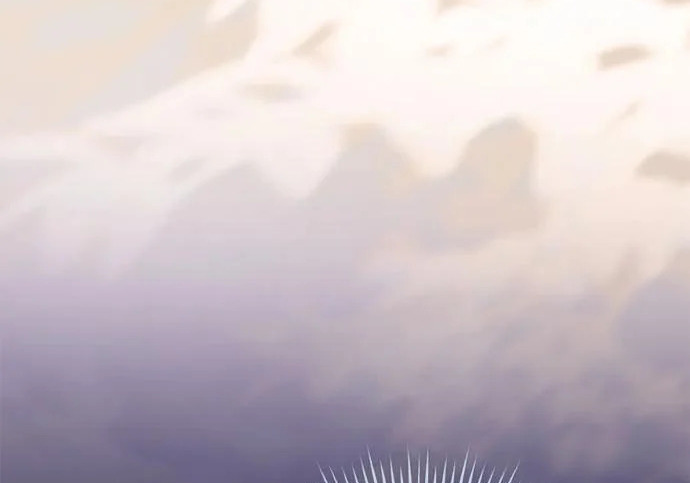 第294页