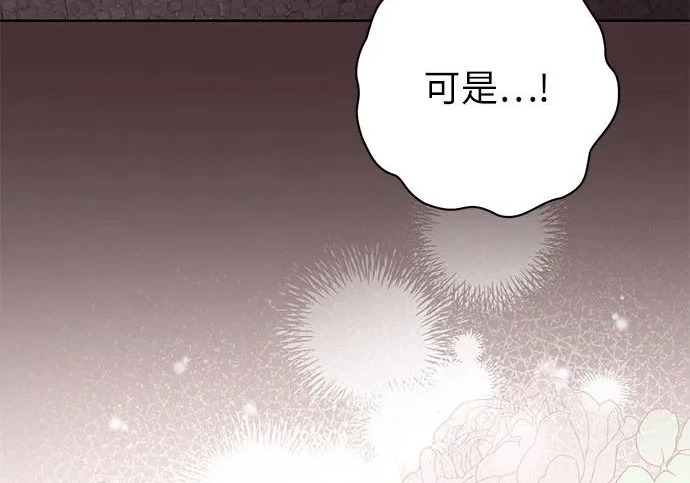 第537页