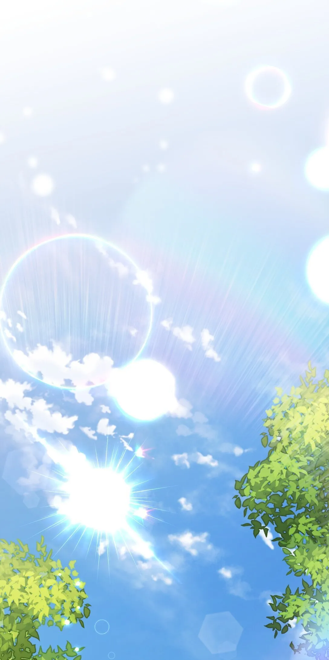 第231页