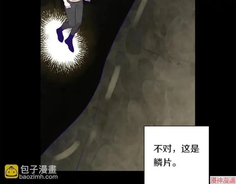 第519页