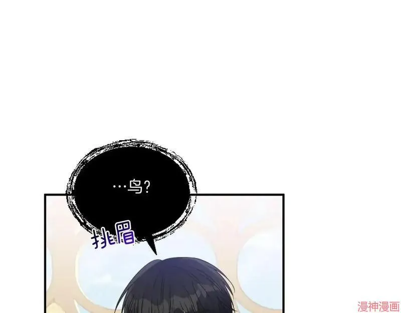 第255页