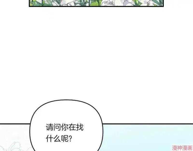 第243页