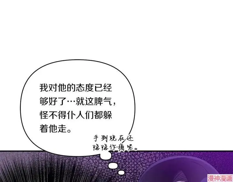 第204页