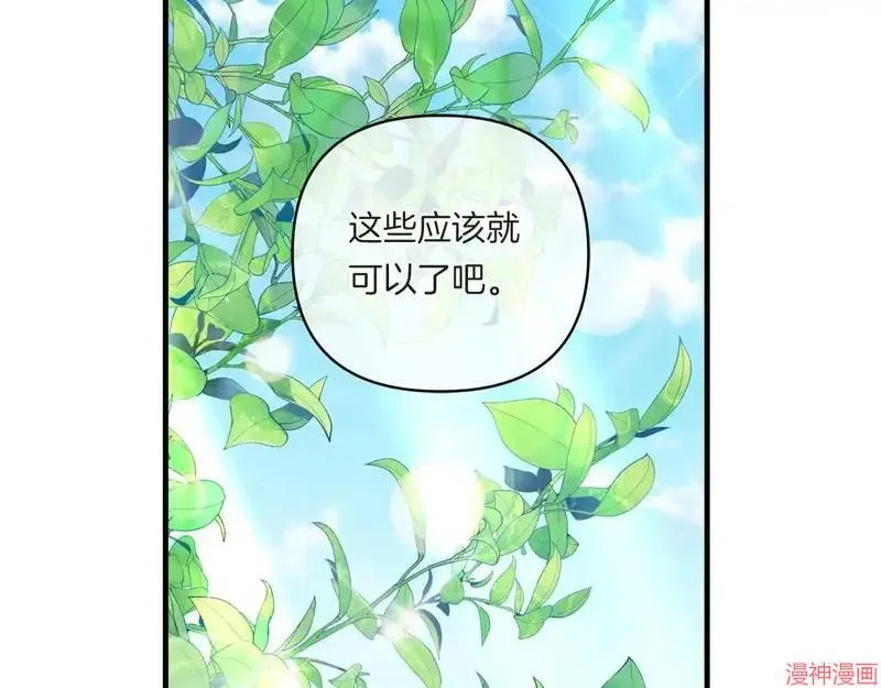 第384页