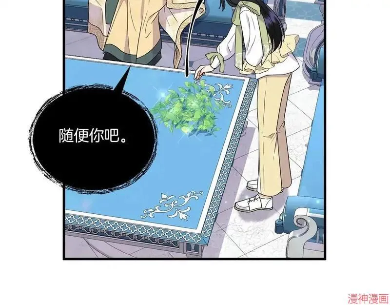 第207页