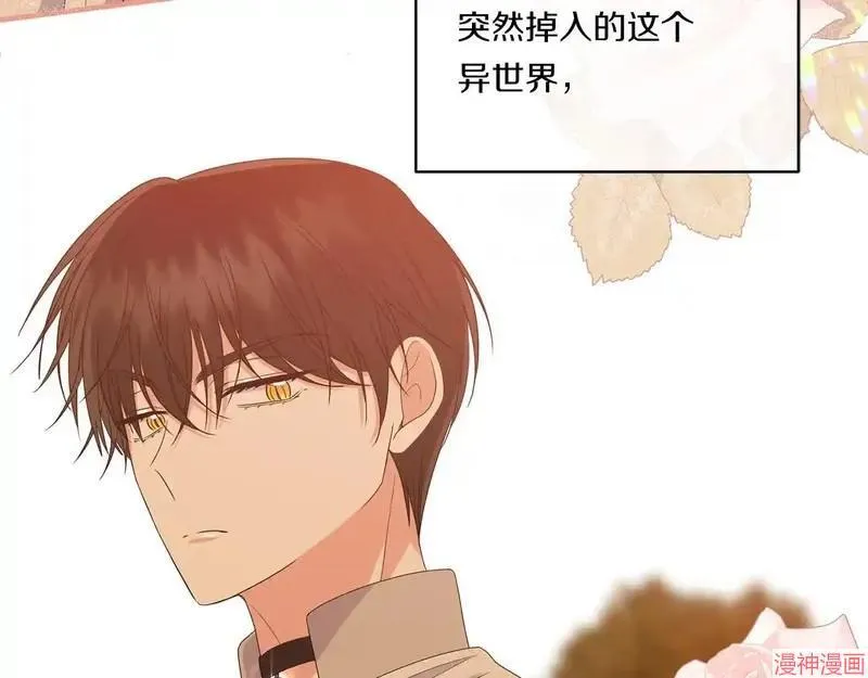 第489页