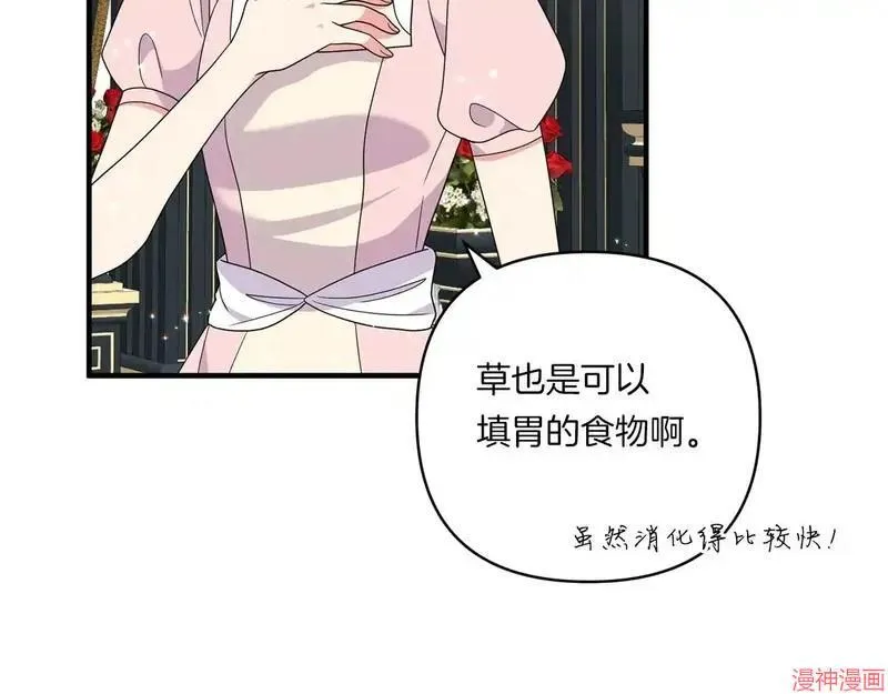 第288页