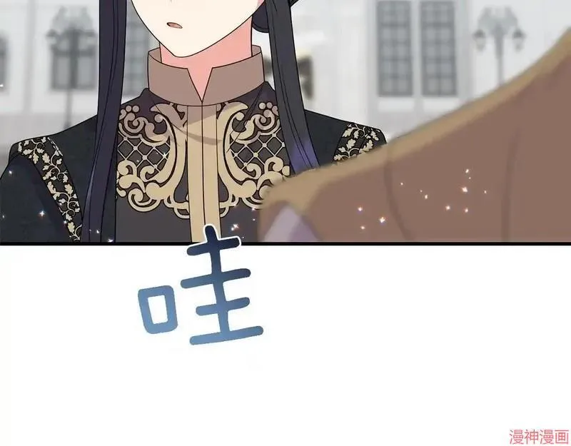 第519页