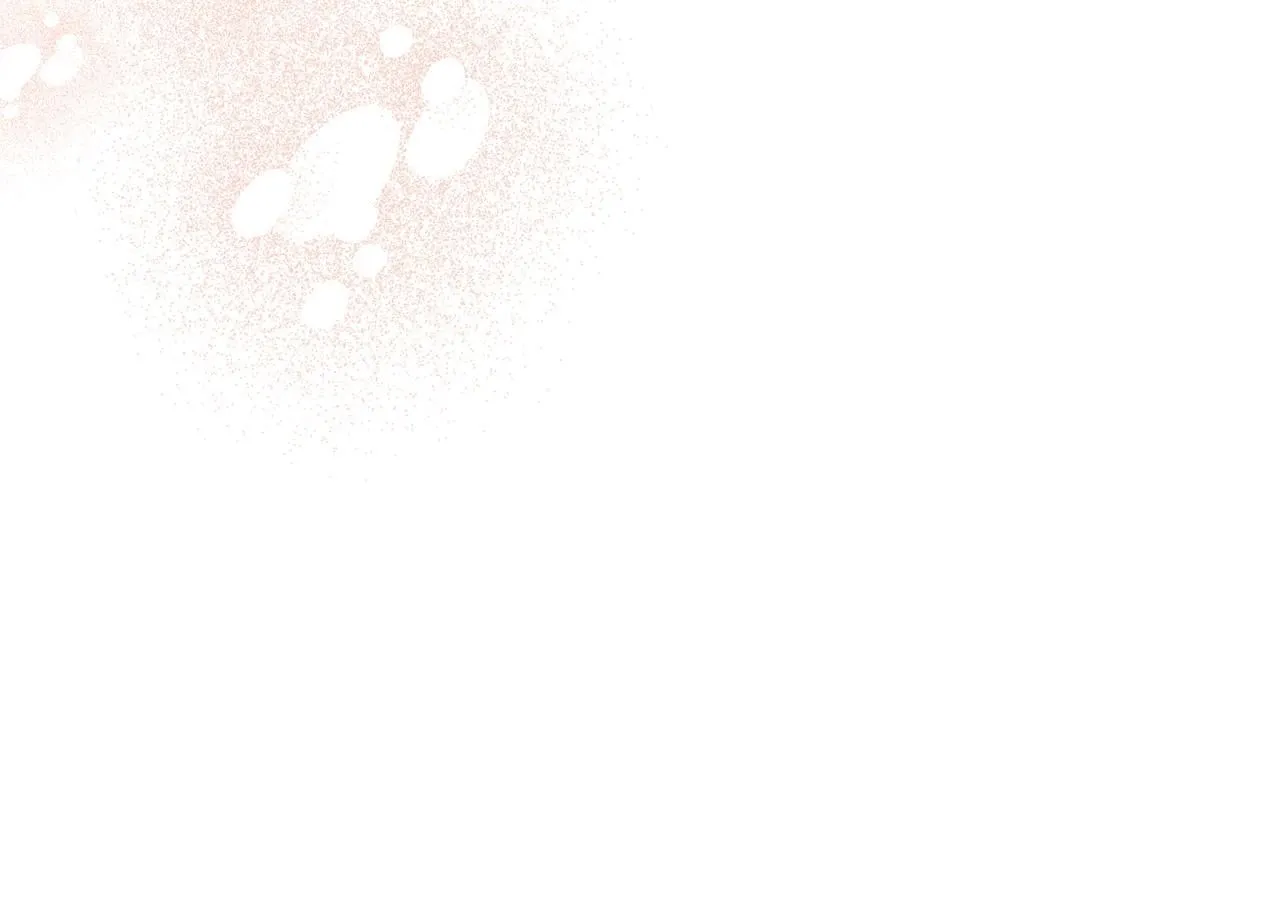 第198页