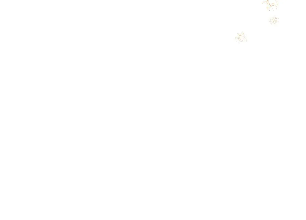 第339页