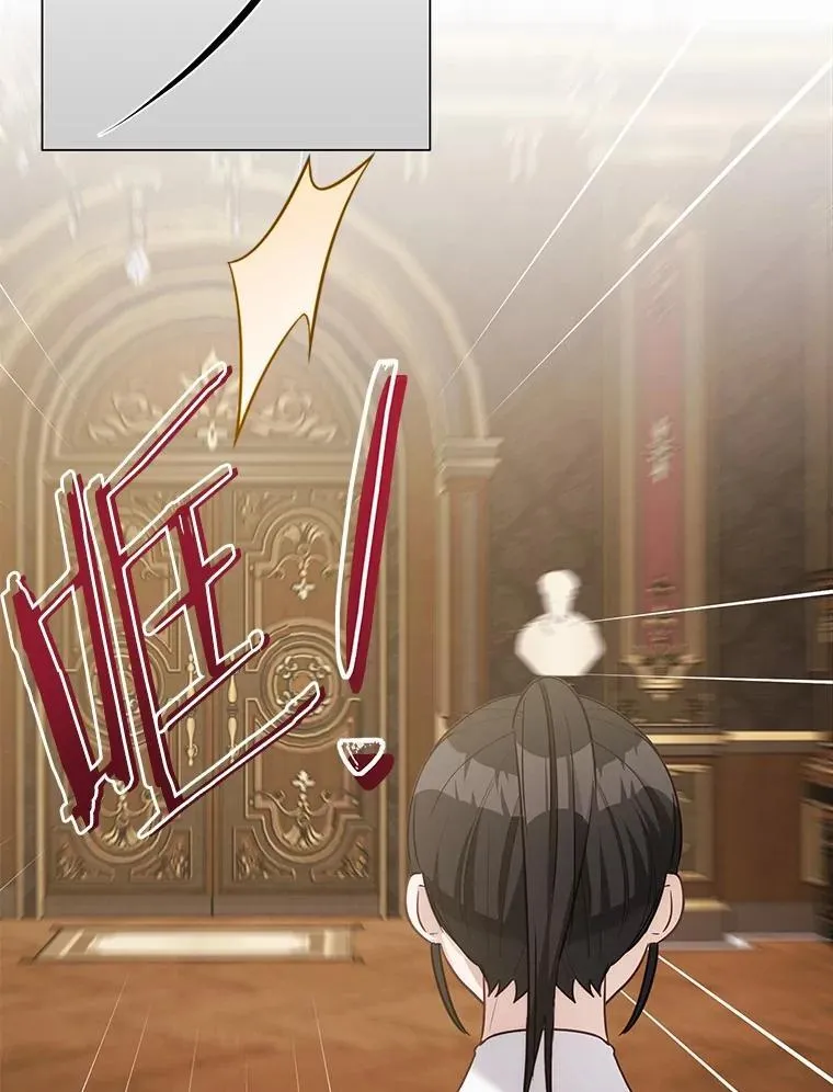 第204页