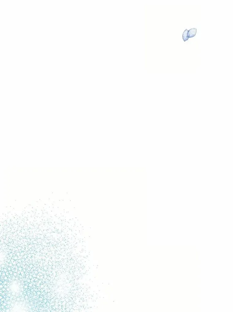 第216页