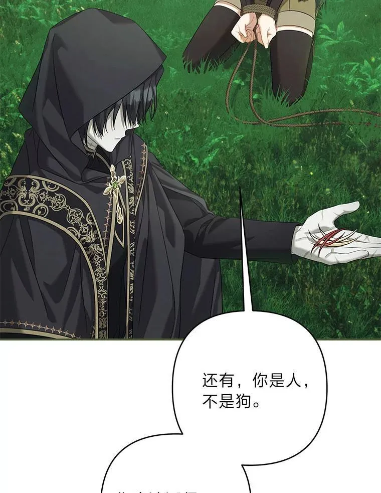 第195页