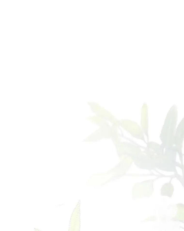 第288页