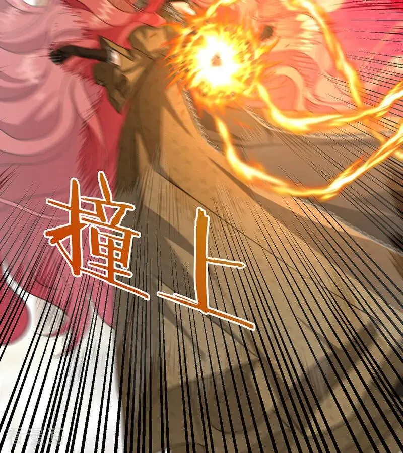第204页