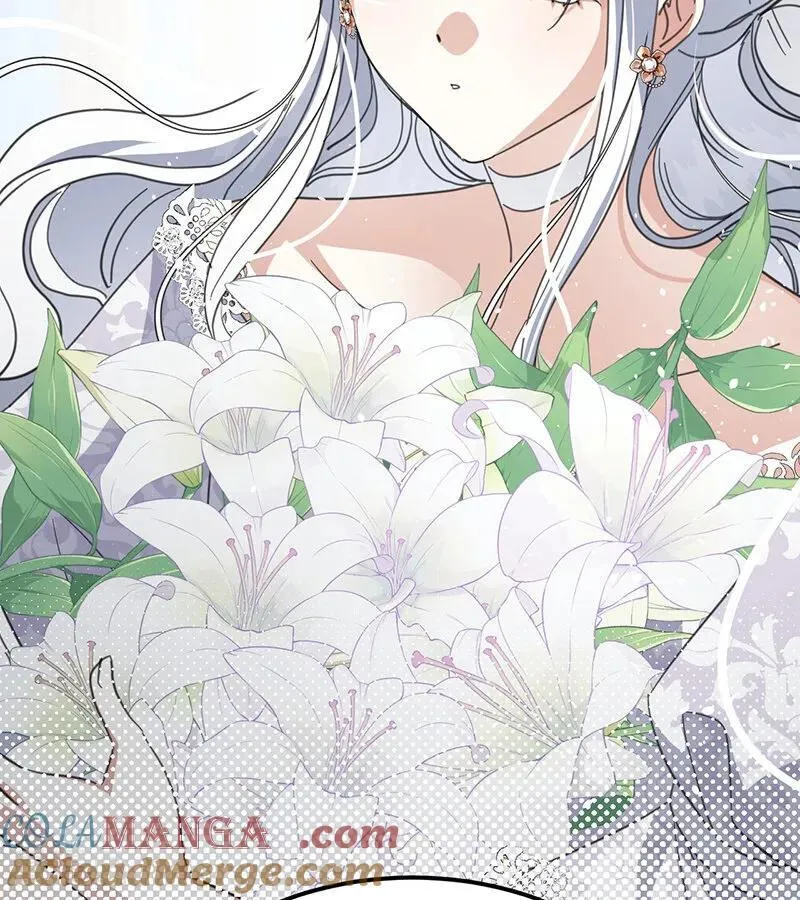 第252页