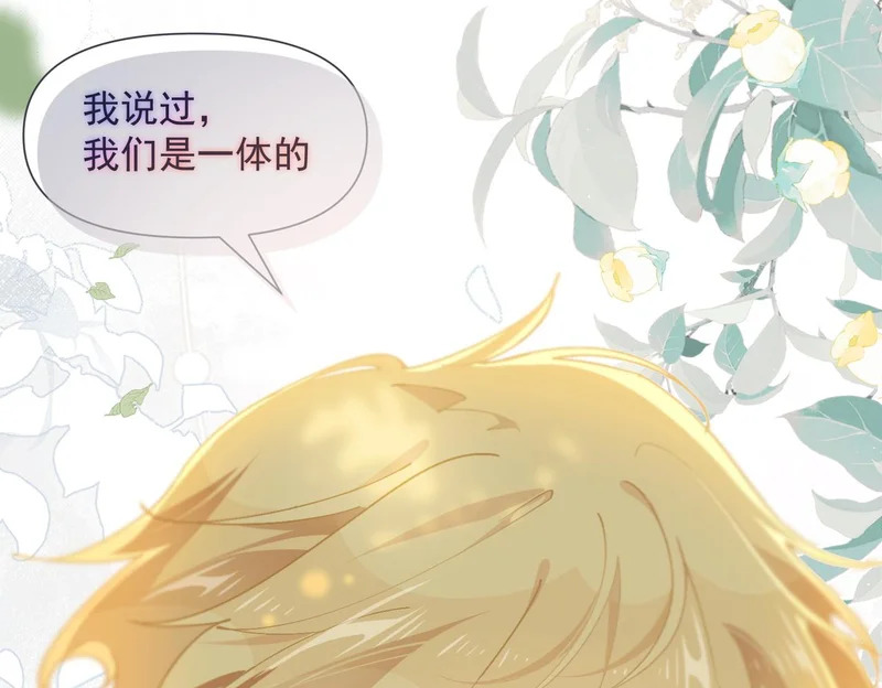 第258页