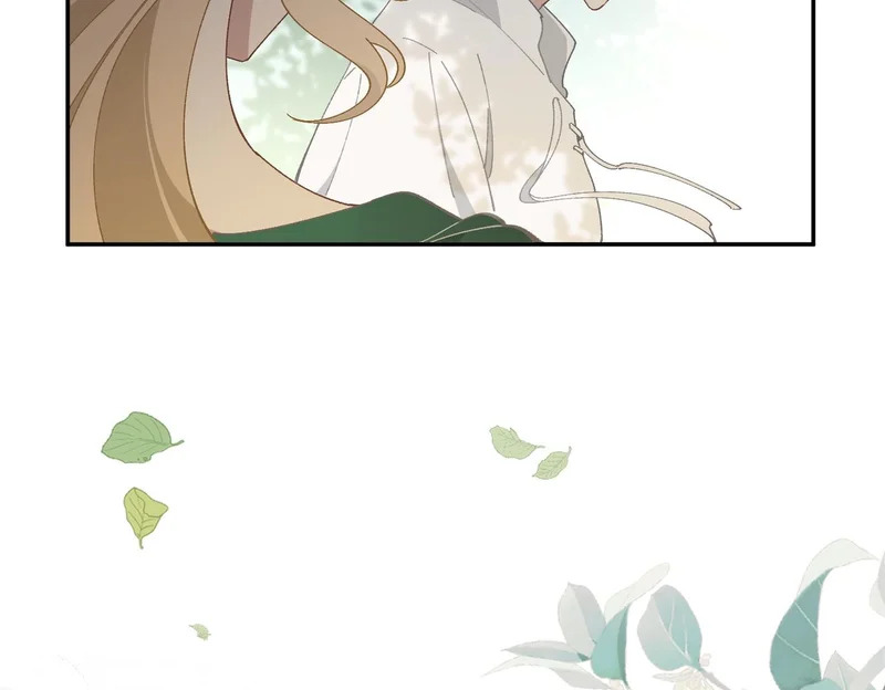 第255页