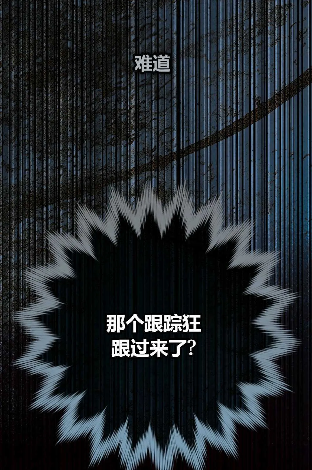 第258页
