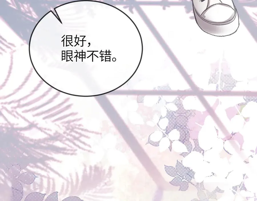 第237页