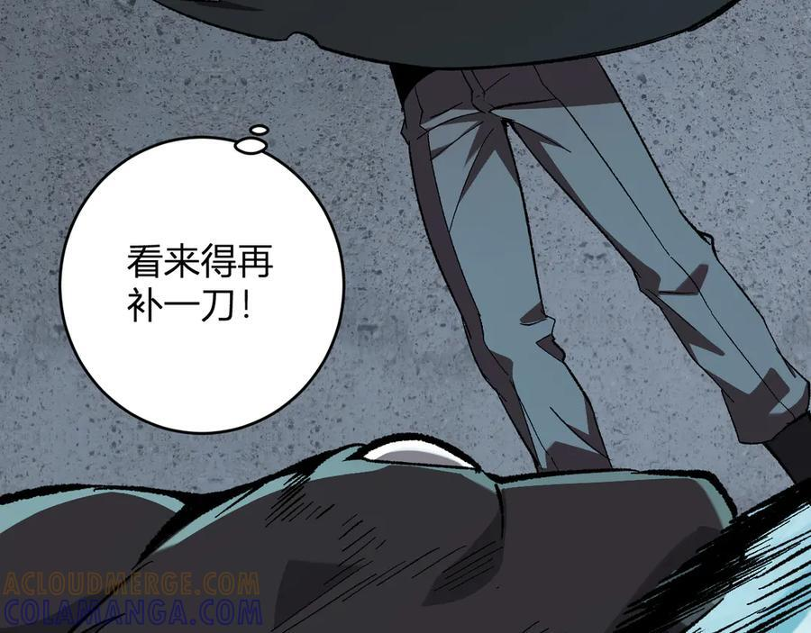 第204页